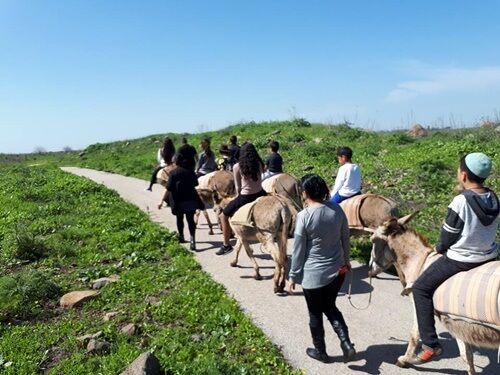 אטרקציות חאן אל על